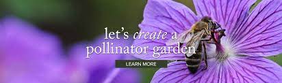 Get information, directions, products, services, phone numbers, and reviews on all ways flowers in manchester, undefined discover more florists companies in manchester on manta.com. Demers Garden Center Demers Garden Center