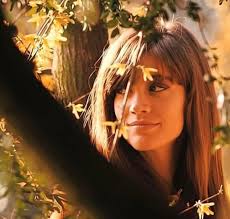 Souvenirs de Françoise HARDY