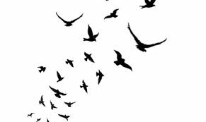 Tan Bird With Black And White Wings W Zestawie Dwa Identyczne Tatuaze Klucz In 2020 Bird Silhouette Tattoos Tattoo Style Drawings Silhouette Tattoos