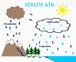 Pada pembelajaran 5 nanti kamu akan mempresentasikan poster yang kamu buat. 30 Poster Siklus Air Serta Penjelasannya Kuliah Desain