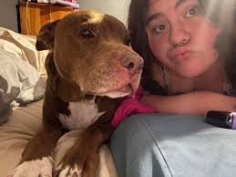 Guess my pups name #guessmydogsname