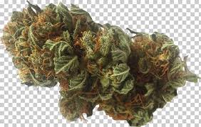 Medical Cannabis Cannabidiol Kush Hemp Cannabis Leaf Chart