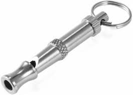 Silver nickel puppies 85 w englewood ave, englewood, nj 07631, usa website : Foodie Puppies Pet Training Adjustable Ultrasonic Device Puppy Coach Canine Commands Animal Quiet Control Training Whistle For Puppies Dogs Pack Of 1 Steel Training Aid For Dog Price In India