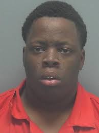 Lee County Arrests 9/30