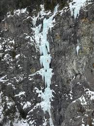 Profile for Joey Daigle