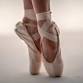 Ballet Lubbock: The Nutcracker en Lubbock Entradas - 12/15/2024 2:00 PM