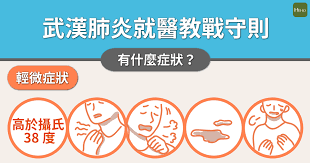 肺的炎症，出现发烧、发冷、咳嗽、喀痰、胸疼及呼吸困难等症状，常由细菌、病毒等引起。 一种常见的呼吸系统疾病。 是细菌、病毒等引起的肺部炎症。 由於病变部位、病因等不同，种类较多。 一般症状是发高热，咳嗽，胸痛，呼吸困难，有的吐铁锈色的痰等。 æ‡‰å°æ­¦æ¼¢è‚ºç‚Žè©³è§£ç—‡ç‹€ å°±é†«æµç¨‹ é é˜²æ–¹å¼ Hehoå¥åº·