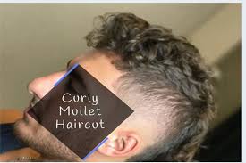 Mullet haircut with curly grown out back. Mullet Hair 55 Sensational Mullet Hairstyles For Men Hair Trends
