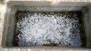 1pengetahuan dan keterampilan yang dibutuhkan dalam tujuan pembenihan budidaya ikan konsumsi. Unit Kegiatan Belajar Mandiri Ukbm Kd 3 2 Pembenihan Budidaya Ikan Konsumsi Air Tawar Pembenihan Ikan Lele