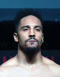 Floyd Mayweather claims former pound-for-pound star Andre Ward wants boxing  exhibition with Jake Paul