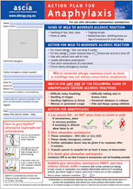 ascia action plan anaphylaxis australasian society of