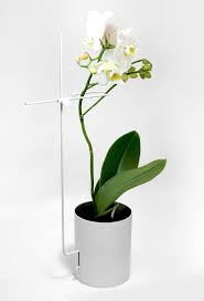 The World S Most Stylish Orchid Pot Orchid Pot Orchids Flower Planters