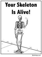 Skeletal system review crossword puzzle answers. Free Skeletal System Worksheets Edhelper Com