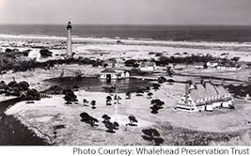 Escaped from spanish ships, north carolina's wild horses have run free for nearly 500 years on the beaches of corolla on the outer banks and shackleford banks on the crystal coast. Corolla History Corolla Guide