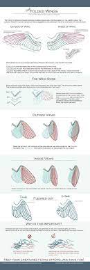 10 Inconceivable Drawing Animals In The Zoo Ideas Wings Drawing Wing Anatomy Design Reference