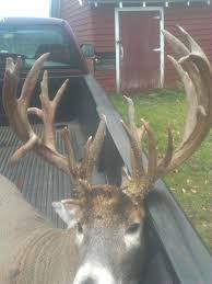 12 YEAR OLD BAGS BUCK OF A LIFETIME