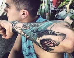 See more ideas about shark, shark tattoos, shark art. 90 Shark Tattoo Designs For Men Underwater Food Chain