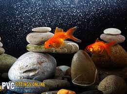 Aquarium,unboxing fish,unboxing,fish,new fish,uarujoey,the king of diy,fish tank,aquarium plants,unboxing fish for aquarium,new fish tank,aquarium setup,aquarium fish,nano aquarium,planted tank,exotic fish,fish room,unboxing mystery box. Pvc Project Ideas For Fish Tanks Diy Fish Equipment
