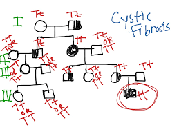 Cystic Fibrosis Pedigree Science Biology Genetics Showme