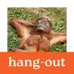 Hang-Out event image