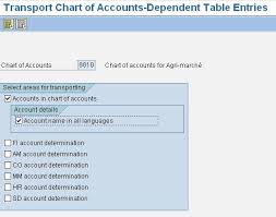 Sap Fico Corner Transport Chart Of Accounts And Company