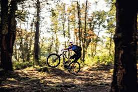 Downhill mountain bikes our downhill bikes are built to go big and shred hard, whether you're ripping a world cup downhill or charging through the gravity park. E Bike Preisvergleich Der Top Marken Fur Elekrofahrrader