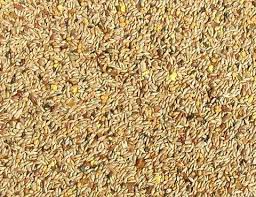 Abba 3700 For Canaries And Similar Birds Termite Control Bird Care Termite Treatment