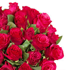Und manchmal muss es einfach der opulente strauß aus langstieligen rosen sein, um das herz der angebeteten zu erobern oder bei einem heiratsantrag die wahren gefühle zu offenbaren. 40 Rote Rosen Online Bestellen Blumeideal De