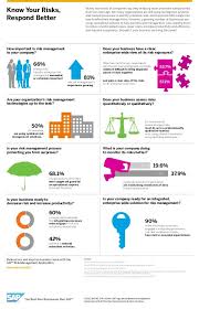 Risk Management Infographic Business Intelligence Management Infographic Strategy Infographic