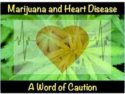 Whenever you decide to try or experiment with a new substance, do it safely. Marijuana And Heart Disease A Word Of Caution