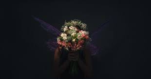 Maybe you would like to learn more about one of these? Eight Beautiful Flowers That Bloom At Night Bouqs Blog
