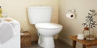 Toilets & toilet paper trivia quizzes. How Much Do You Need The Toilet Quiz Proprofs Quiz