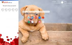 Without further ado, here is a. Cute Puppies Wallpaper Cute Dogs Theme