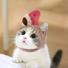 Dog Hat Moltres Shape Pet Hat Cat Party Clothing Accessories Cute Headdress Dog Supplies Cat Hat Pet Halloween Costumes Cute Cats Pet Costumes
