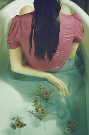 Ghim Tren Wild Animal Collections