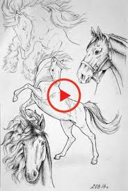 How To Draw A Horse Nose 52 Ideas In 2020 Horse Drawings Animal Drawings Sketches Animal Drawings