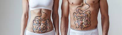 Il existe donc des exigences normatives quant les canalisations de cuivre sont les plus utilisées pour transporter le gaz. D Ou Viennent Les Gaz Intestinaux Bien Etre Intestinal
