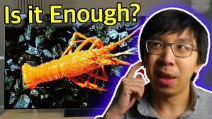 LG G3 Calibration + Emotiva MC1 AV Pro & Bowers & Wilkins 700S3 5.1 reviews  + HiFi, AV and TV News