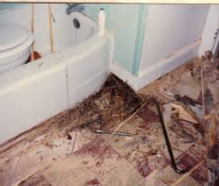 Rotten Bathroom Floor Google Search Bathroom Flooring Wood Bathroom Flooring
