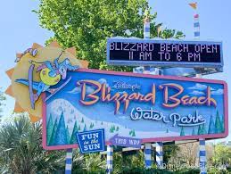 Passholders Can Score A Big Discount On Water Park Tickets In Disney World The Disney Food Blog