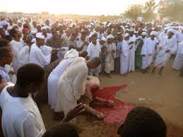 I feel really lucky growing. Witnessing A Camel Sacrifice In A Mosque In Khartoum Sudan