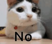 Cat Nope Gifs Tenor