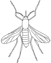 In coloringcrew.com find hundreds of coloring pages of insects and online coloring pages for free. Flying Insect Coloring Sheet For Kids Topcoloringpages Net