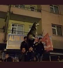 Sergen yalcin former footballer from turkey attacking midfield last club: Eskiden Futbol On Twitter Yil 1994 Turkiye 5 0 Izlanda Skoru Belirleyen Golu Frikikten Atan Sergen Yalcin Bozkurt Isareti Yaparak Seviniyor Https T Co Mvzq0cas0p