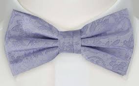 Bow Tie Tonal Embroidered Flowers In Light Blue