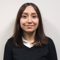 100+ "Simental" profiles