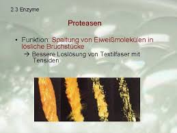 Vollwaschmittel (kochwaschmittel) sind meist pulverförmige waschmittel für textilien. Rund Ums Waschen Bersicht 1 Geschichte Des Waschens