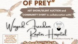 Beautiful Birds of Prey