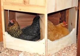 Clever 3 Sided Laying Boxes Pet Chickens Chicken Coop Plans Chicken Nesting Boxes