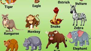 10 Wild Animals Name Wild Animals In English English Grammar Here